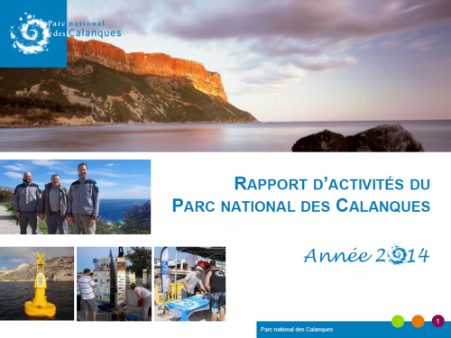 rapport_dactivite_2014.png