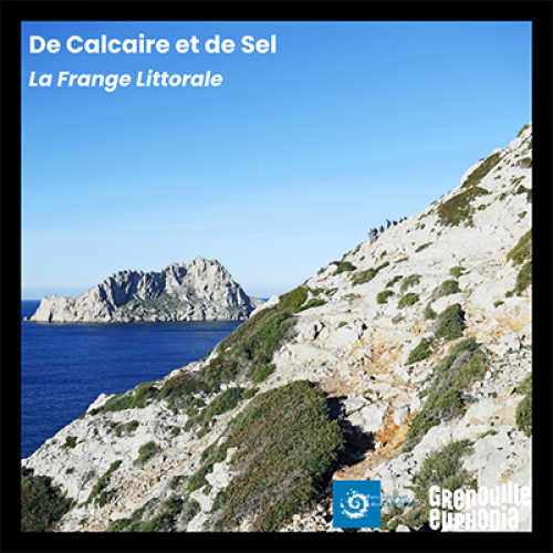 Visuel De Calcaire et de Sel