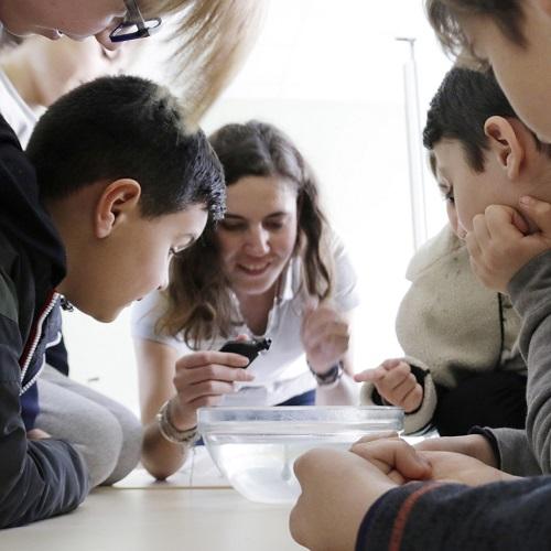 carre-education-environnement-c-bellanger-parc-national-calanques-marseille-cassis-la-ciotat.jpg