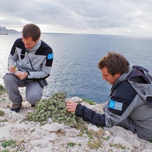 carre_surveiller-proteger-sloa-pncal-parc-national-calanques-marseille-cassis-la-ciotat_-_copie.jpg