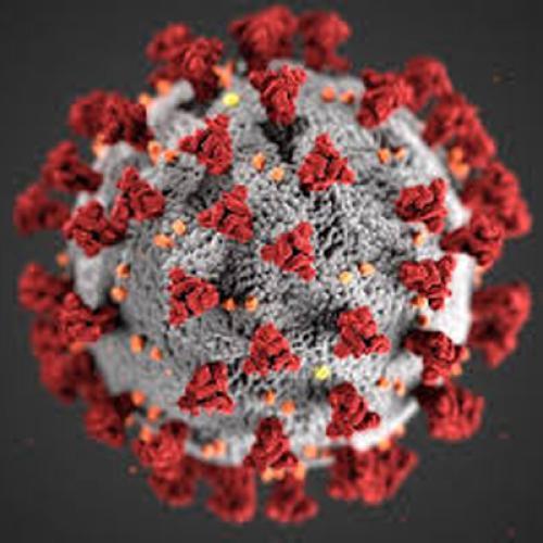 coronavirus_info.jpg