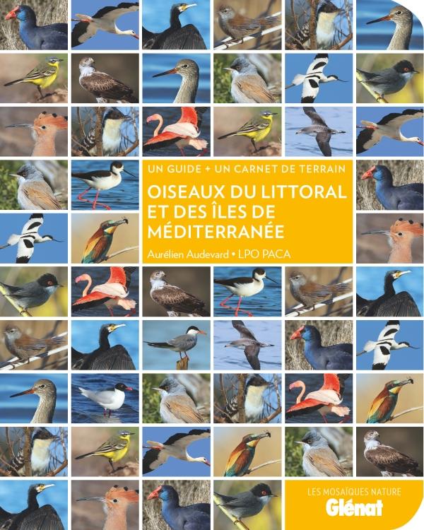 oiseaux-littoral-iles-mediterranee.jpeg