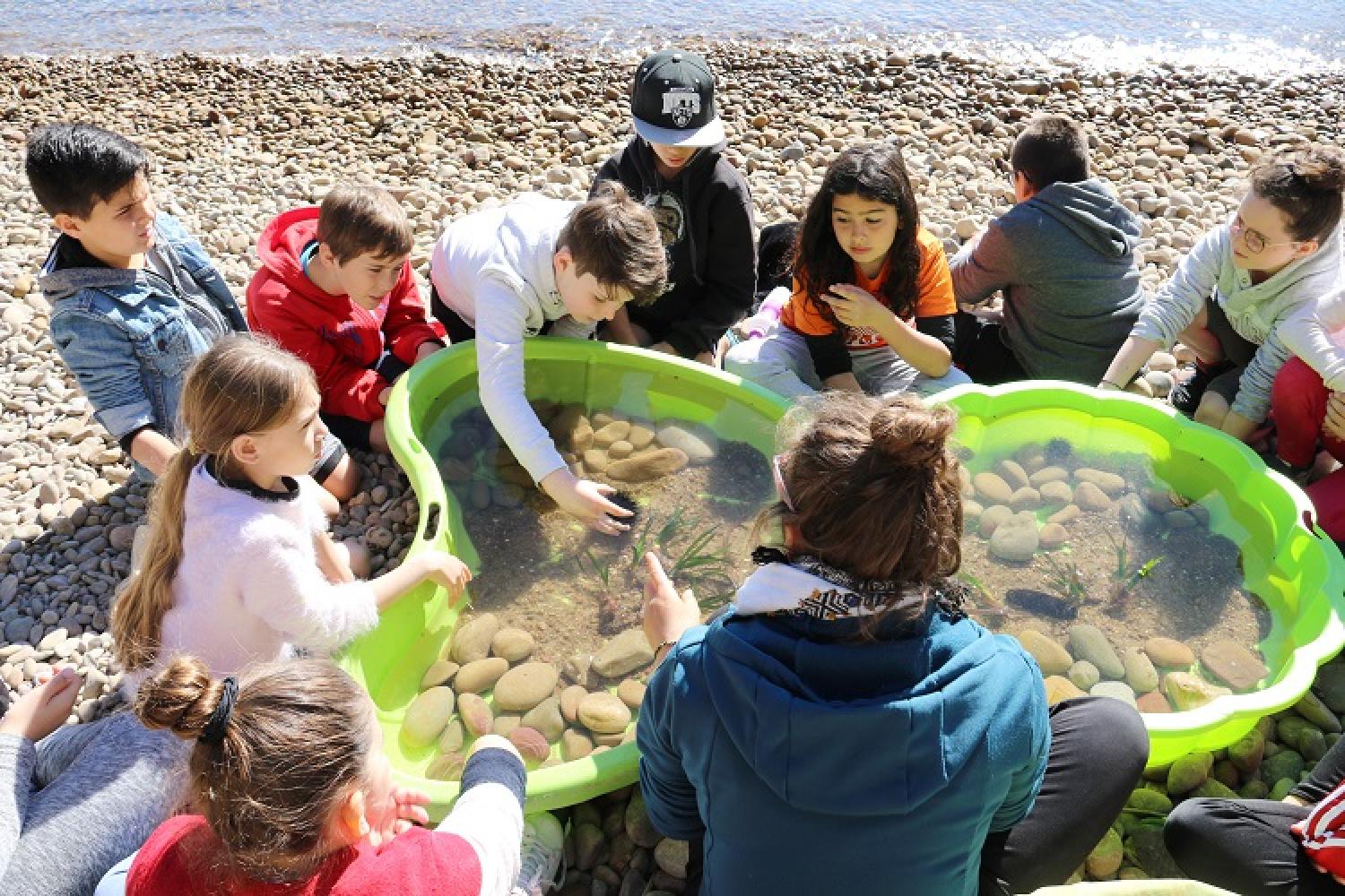 aire-marine-educative-c-bellanger-parc-national-calanques-marseille-cassis-la-ciotat-3.jpg