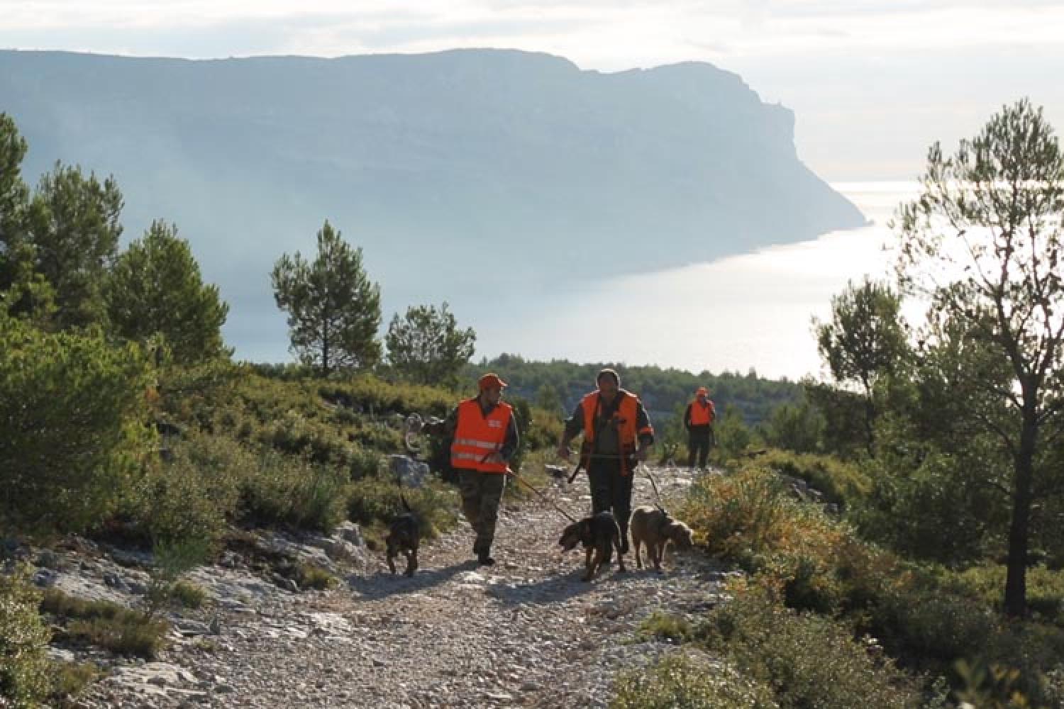 chasse-calanques.jpg