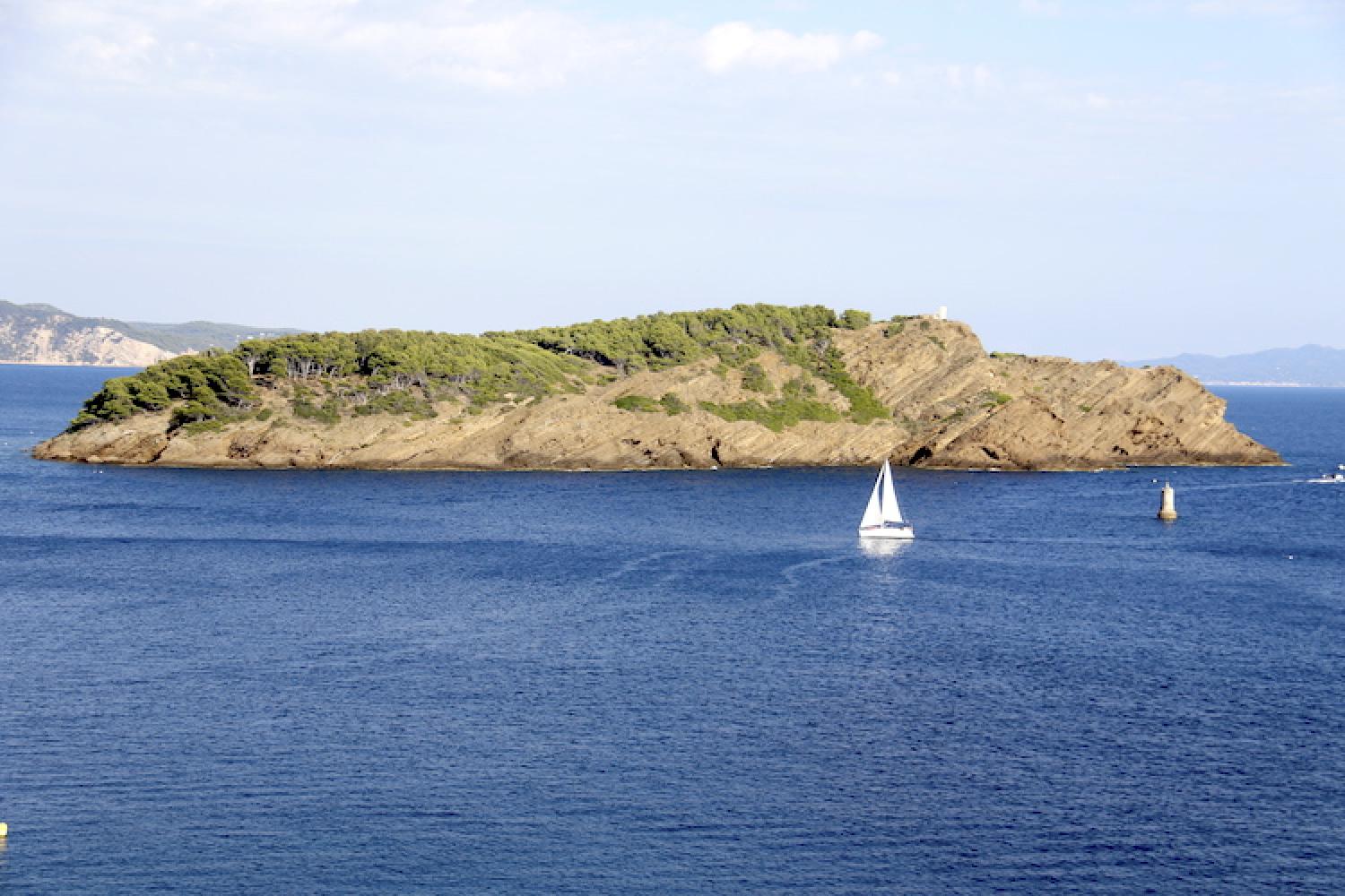 ile-verte-c-bellanger-parc-national-calanques.jpg