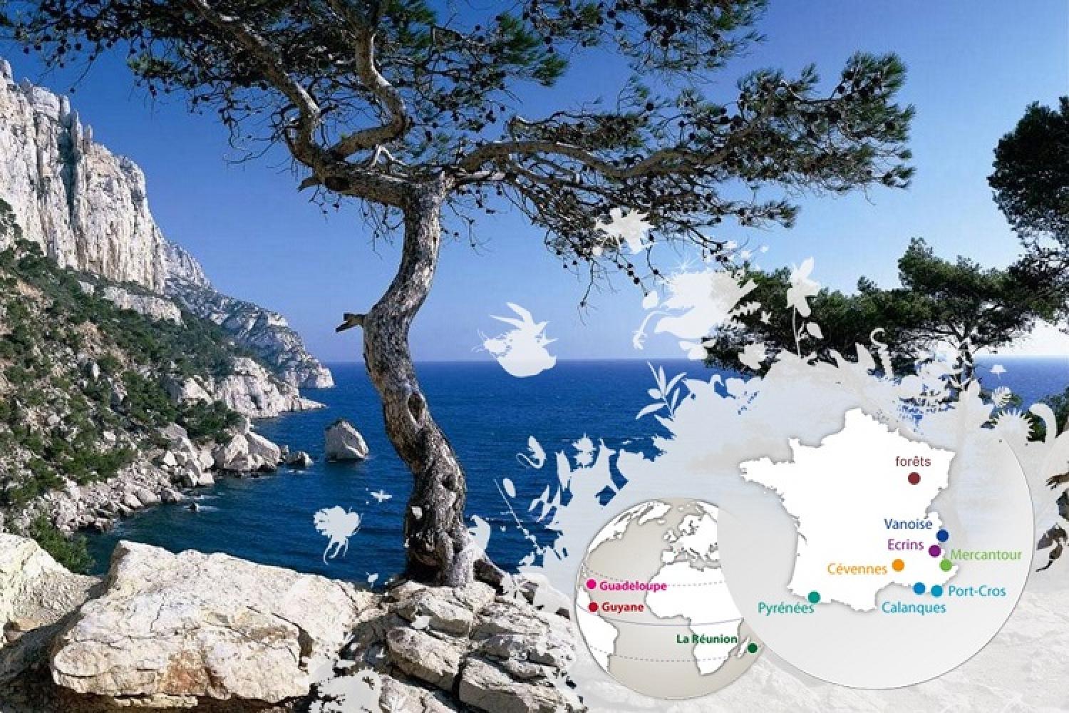 parcs-nationaux-calanques.jpg