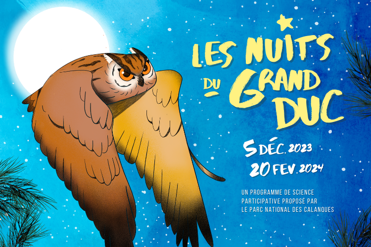 Visuels Nuits du Grand-duc